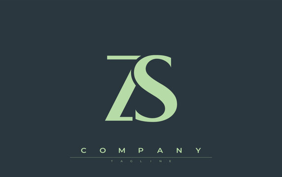 ZS Modern Initials Logo Design. Branding logo with stylized initials showcasing bold design and modern aesthetic. Ideal for professional business branding or creative projects focusing on minimalistic