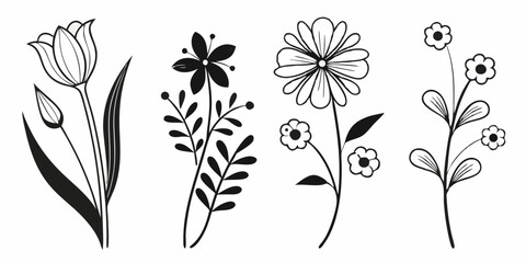 Poster - Elegant floral design elements in black and white vector format for creative digital design projects
