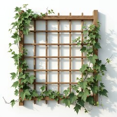 Poster - Wooden trellis with climbing ivy against white wall. Ivy leaves climb wooden lattice. Architectural element in garden design. Green plants on white background. Decorative garden element.