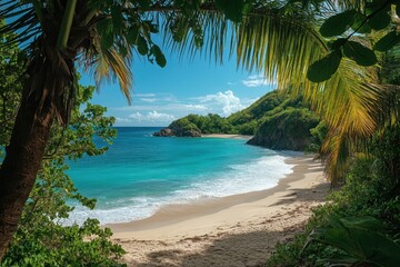 Poster - Tropical beach sunrise in Seychelles with palm trees framing sandy cove and turquoise water creates a peaceful and relaxing vacation paradise