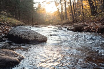 Aufkleber - Flowing water through a stream in the Forest of Algonquin Provincial Park during Autumn season