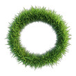 © Kakha - A vibrant green grass ring, digitally rendered, forms a perfect circle against a black background. The grass blades are detailed, creating a textured, natural appearance