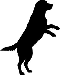 Poster - Black dog silhouette standing on hind legs vector illustration for design and decoration use 100 char editable stock vector illustration