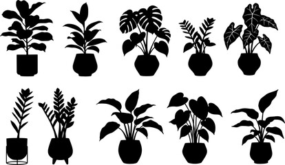 Poster - houseplant silhouette collection vector graphic design indoor plants potted plants black and white i