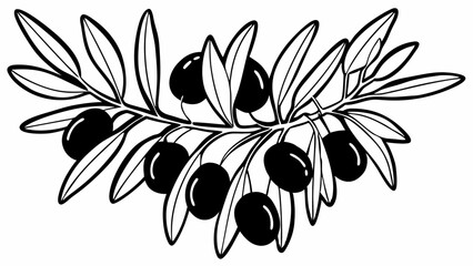 Poster - Illustration of an olive branch with olives and leaves in black and white artistic line drawing style created with generated ai