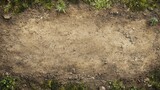 Top down view of dirt path, grass, rocks and small stones. Use as a background or texture for graphic design and illustration.
