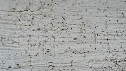 Poster - rough white stucco wall with weathered pitted texture and subtle vertical drip patterns ideal for grunge graphic design, urban backdrop, or abstract branding element

