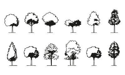 Poster - Black Silhouette Tree Collection Set. Landscape Architecture And Urban Design Element Collection. Isolated Vector Illustration