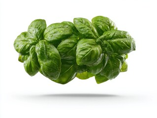 Poster - Fresh Basil Bunch With Water Droplets on White Background, Symbolizing Healthy Eating and Organic Food Production : Generative AI
