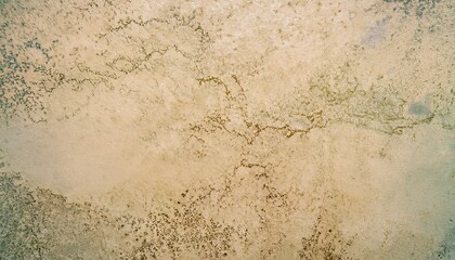 Leinwandbilder - vintage cracked plaster wall texture with muted beige and sage green marbling detail for rustic background, web design, antique print template, or grunge branding

