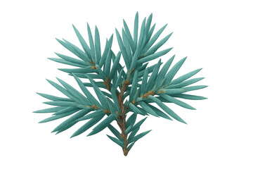 Fototapete - Close-up of juniper branch with light green needles isolated on transparent background, perfect for nature-themed projects