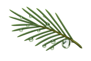 Poster - Green leaf glistening with fresh water droplets, rendered in crisp realistic detail against transparent backdrop