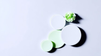 Poster - Abstract Minimalist Composition with Pale Green and White Circles