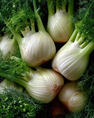 Poster - Fresh Fennel Bulbs and Fronds, Showcasing Culinary Ingredient Versatility and Healthy Eating for Food Bloggers and Recipe Developers : Generative AI
