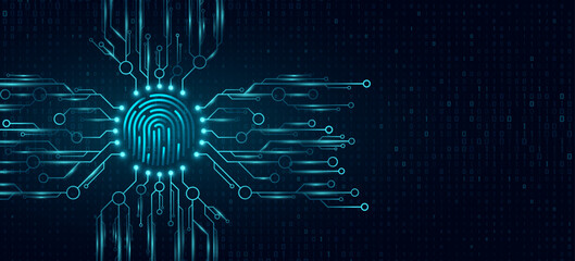 Poster - Glowing blue fingerprint integrated with a futuristic circuit network for biometric security background. Digital authentication and cybersecurity for your UI design. Vector illustration.