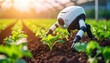 © Nick - Autonomous robot working in a garden to enhance plant health and growth management