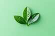 © Supardi - Three vibrant tea leaves creating a simple and refreshing background