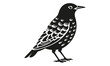 © MdTariqul - Elegant Black and White Bird Illustration A Stunning Avian Design