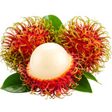 Rambutan Fruits with Leaves  isolated on white or transparent png