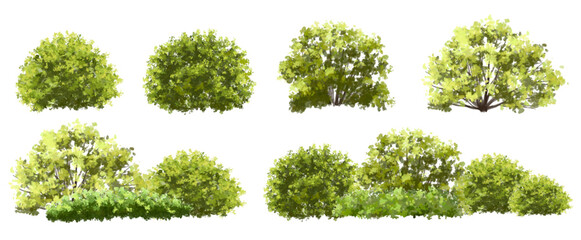 Wall Mural - vector watercolor green tree or forest side view isolated on white background for landscape and arch
