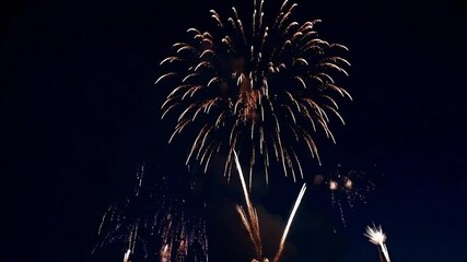 Colorful fireworks exploding in night sky, 4k festive celebration loop video