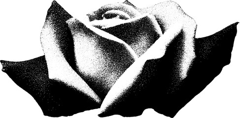 Poster - High contrast black and white rose with bat wings - abstract design for halloween themes