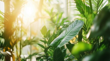 Poster - Bright sunlight filters through lush green leaves in a serene indoor garden setting, creating a peaceful atmosphere