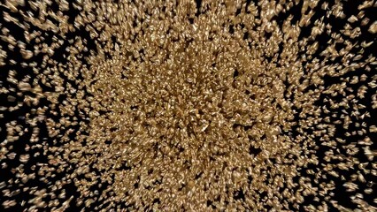 Poster - Dynamic display of shimmering golden particles scattering against a dark backdrop, creating a mesmerizing visual effect reminiscent of a cosmic explosion or festive celebration