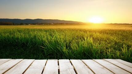 Poster - Golden Rice Field at Sunset with Wooden Deck, Representing Agriculture and Rural Tranquility