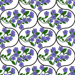 Poster - Seamless vector pattern of delicate periwinkle flowers and leaves arranged in elegant, repeating curves on a white background, creating a sophisticated floral design.
