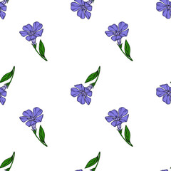 Poster - Seamless vector pattern of delicate periwinkle flowers with green leaves on a white background, ideal for textile prints and floral designs.