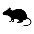 © MdShahariar - A Silhouette of a House Mouse Featuring a Long Tail and Whiskers silhouette vector