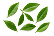 © Krtola  - Eight vibrant green tea leaves falling against a transparent background, creating a natural and refreshing image