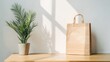 © Dian - Light-filled room with plant and paper bag