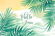 © onyengradar - Hello June Text with Tropical Green Leaves Frame, Summer Concept