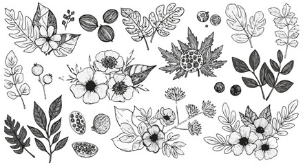 Poster - Elegant Botanical Illustrations Black and White Floral Designs Hand Drawn Greenery Leaves Flowers