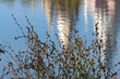 © Natalia - A light building with spires is reflected in the water