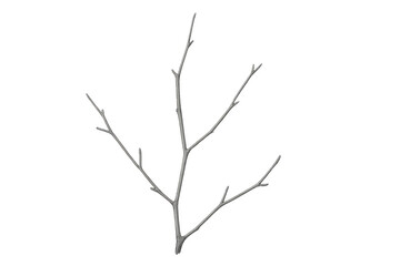 Fototapete - Realistic rendering of a bare branch with transparent background, perfect for compositing and design projects