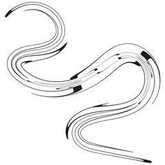 Poster - Wavy line elements. Abstract flowing stripes. Dynamic curve vector. Artistic scribble pattern.