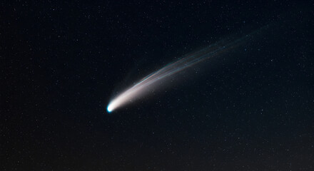 Wall Mural - spectacular image of a comet streaking across the starry night sky
