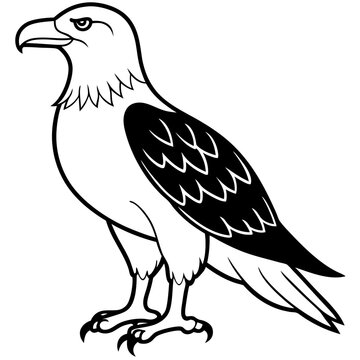 Minimal White-Bellied Sea Eagle Vector