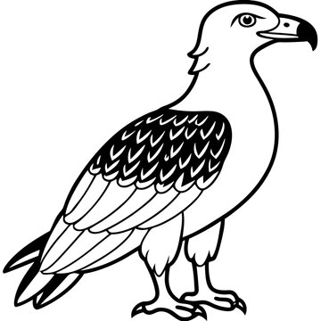 Minimal White-Bellied Sea Eagle Vector