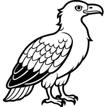 Minimal White-Bellied Sea Eagle Vector