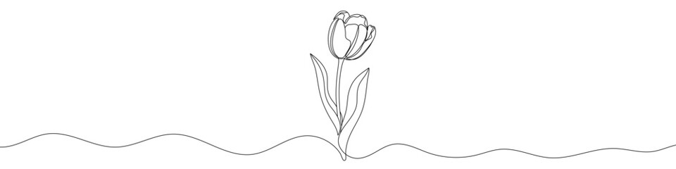 Canvas Print - black tulip in one line art style. tulip drawing with editable stroke on white background. vector il