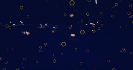 Aufkleber - Floating luminous circular orbs and glowing light streaks drifting in abstract dark field display