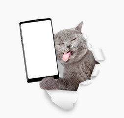 Aufkleber - Funny cat with tongue out holding big smartphone with white blank screen through torn white paper hole. Empty free space for mock up