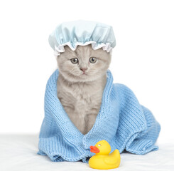 Poster - Cute gray kitten with tiny shower cap on it head wrapped in blue towel after bathing sitting with rubber duck