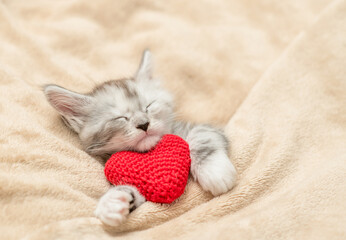 Poster - Tiny maine coon kitten covered warm plaid hugs red heart on a bed at home. Valentines day concept. Top down view