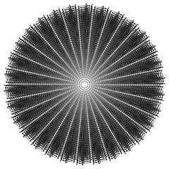 Poster - Radiating light burst. Black white rays. Geometric radial star. Vector circular lines.