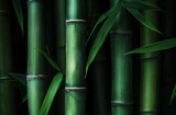 Lush green bamboo forest close-up, nature background